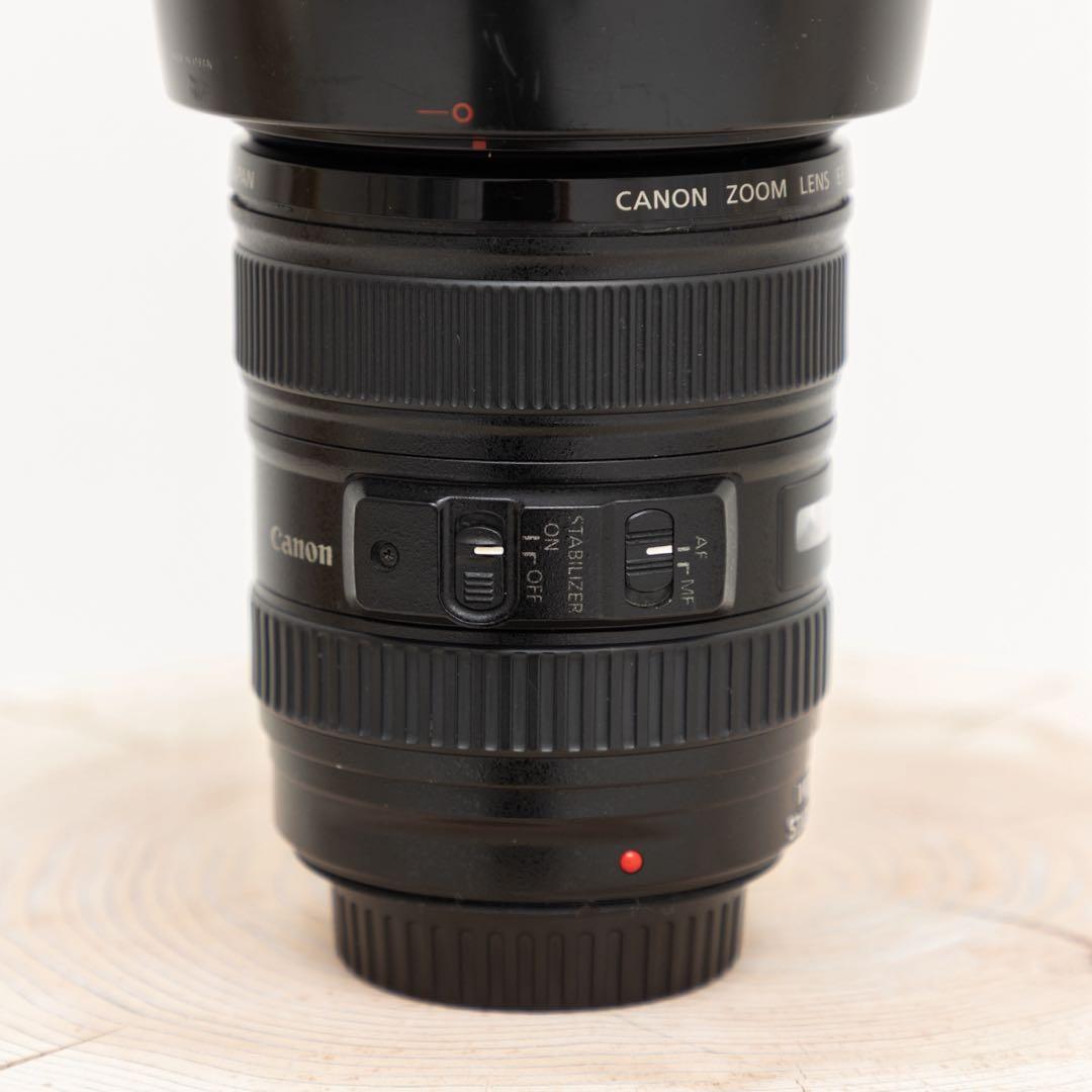 Canon EF 24-105mm f/4L IS USM /ジャンク扱い