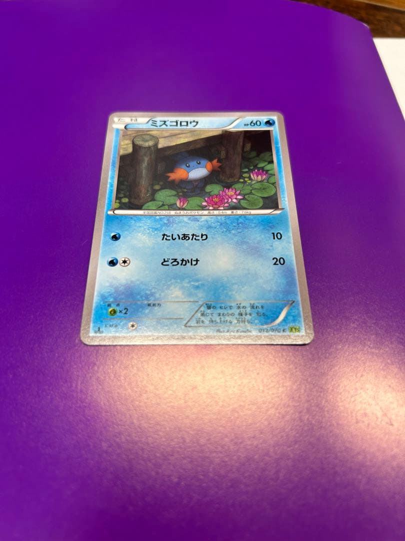 蛙帰るメガバシャーモex レックウザメガバトルポケモンカードプロモ　御三家