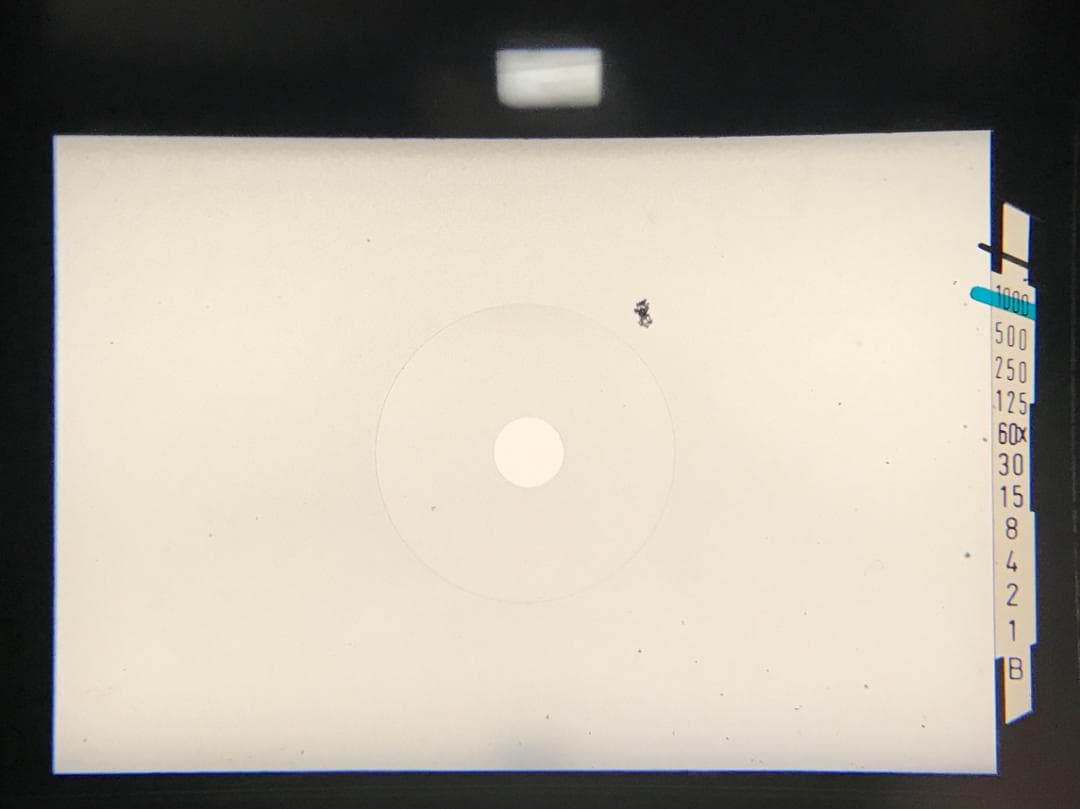 【整備済　並品】ペンタックス KX ＆ 50mm f1.4露出計不良 #1333