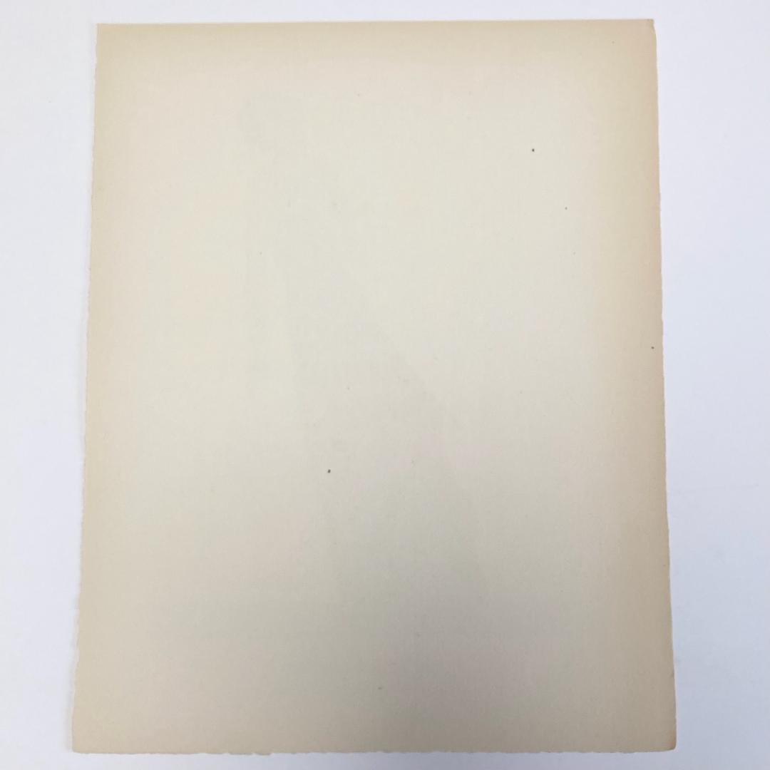 A.E.マルティ☆ファッションプレート☆EN PLEIN COEUR