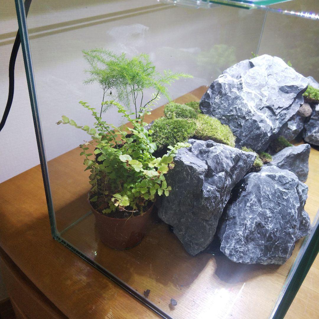 【受注生産】アクアリウム