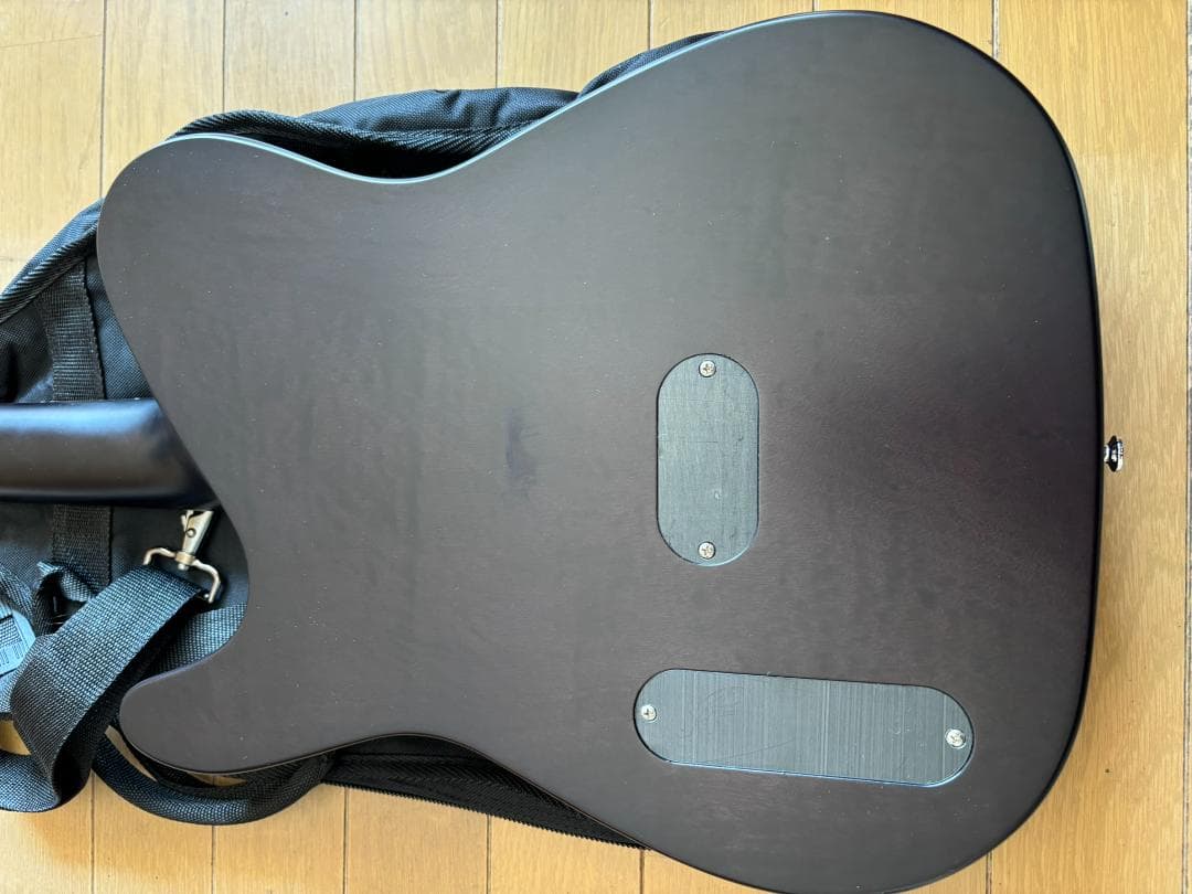 【中古品】SCHECTER（シェクター）エレアコ OL-FL-P
