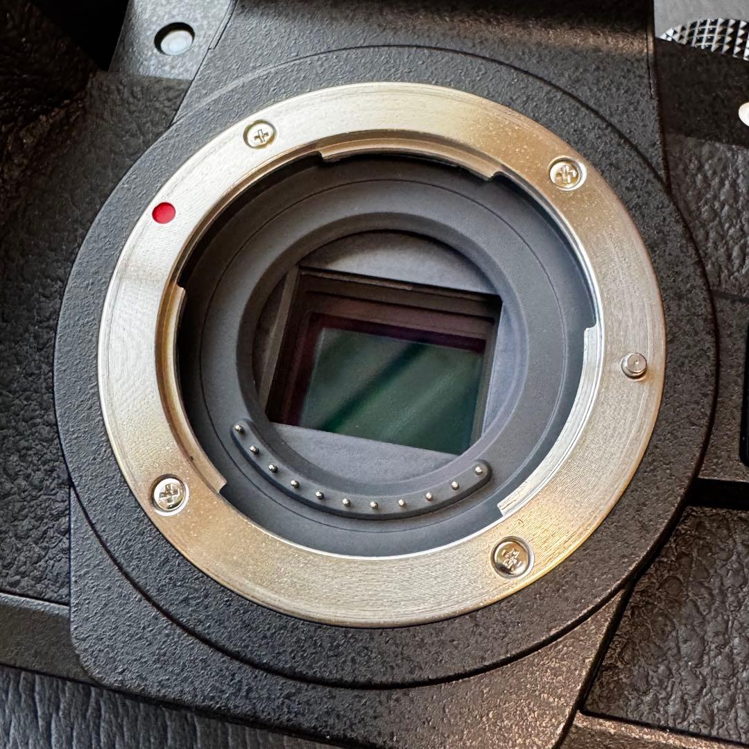 【美品】LUMIX DC-G99