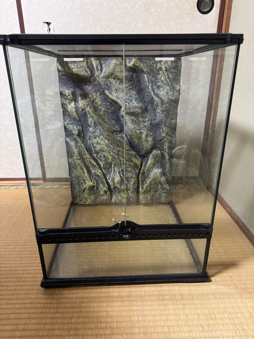 グラステラリウム4560