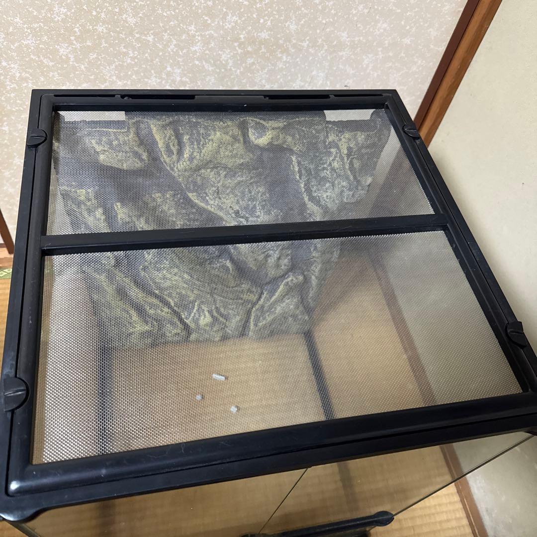 グラステラリウム4560