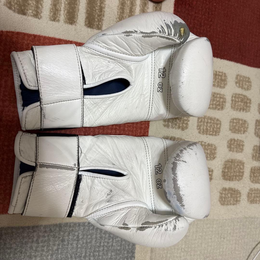 ウイニングボクシンググローブ12オンス　得点王