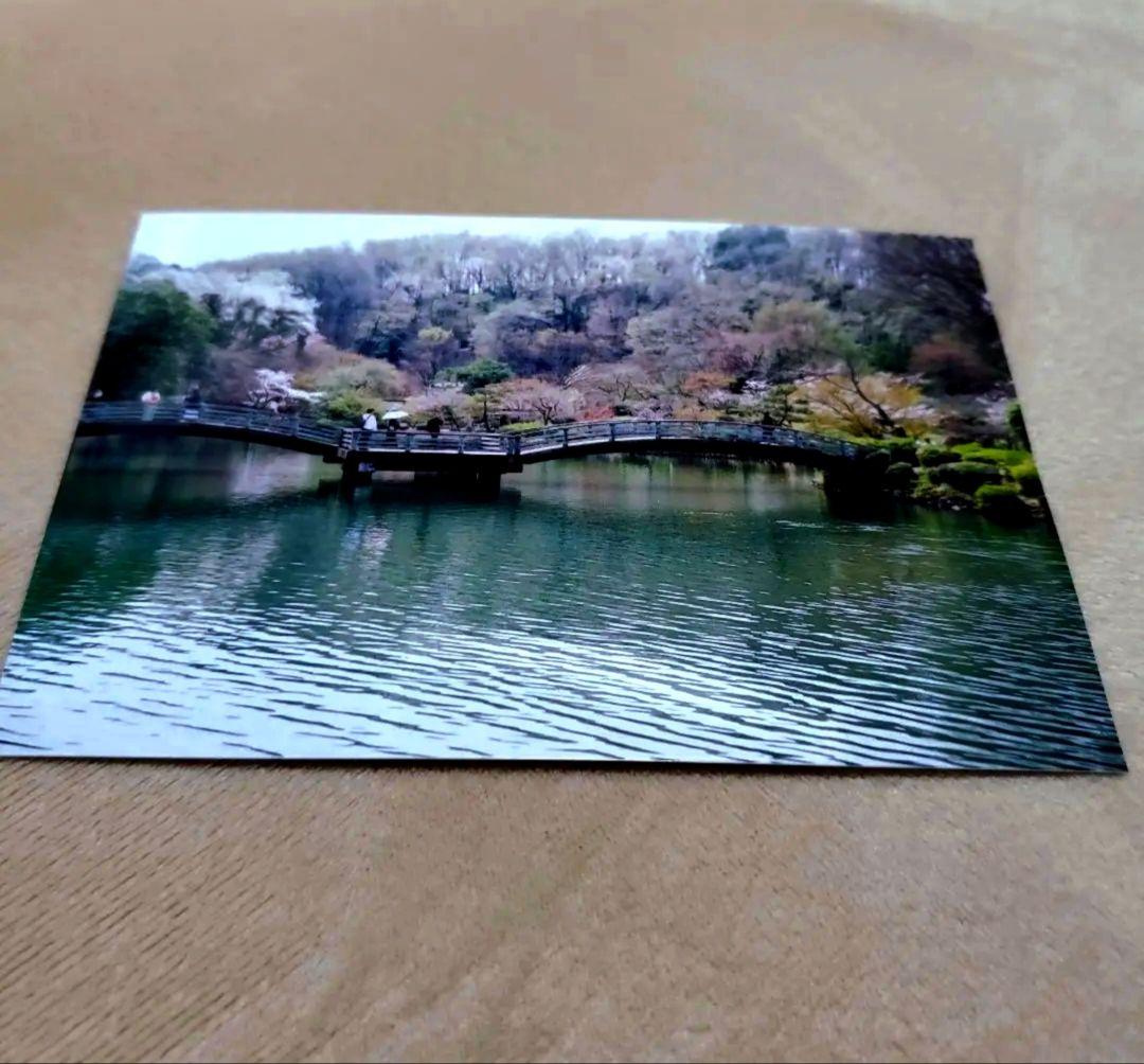 ニコンSP白ボディー50mm1.4　レンズフィルター/新品フード付