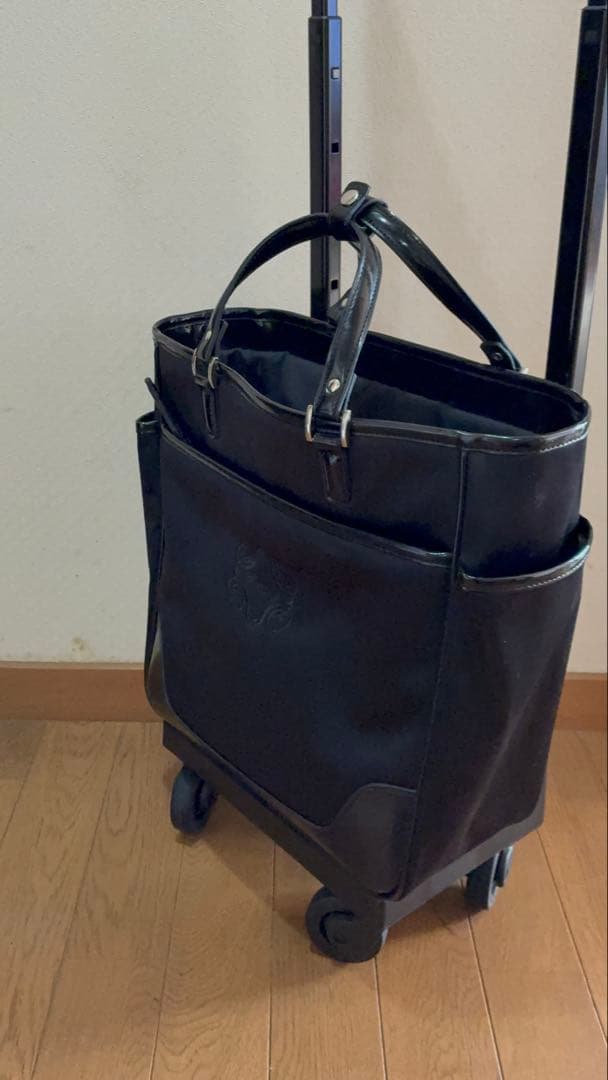 SWANY キャリーバッグ ショッピングカート ウォーキングバッグ 黒