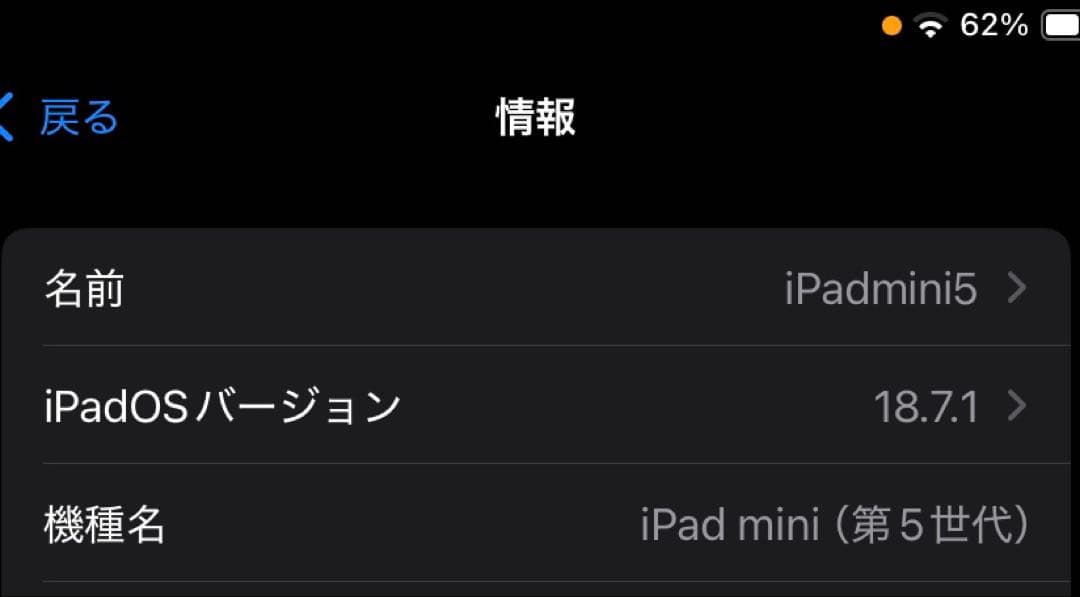 iPad mini 第5世代 64GB スペースグレイ WiFiモデル