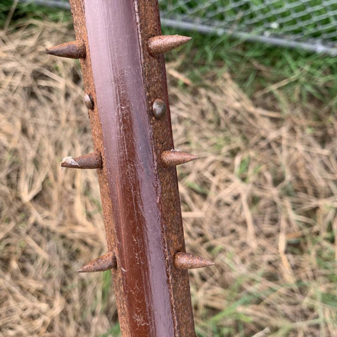 袖がらみ　石突　もじり　捕物　武具　時代物　コスプレ　古道具　防犯　XZ4120