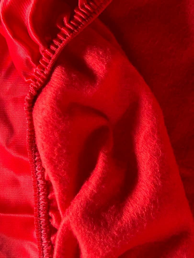 美品　DUCATI 999R 車体カバー　超希少商品