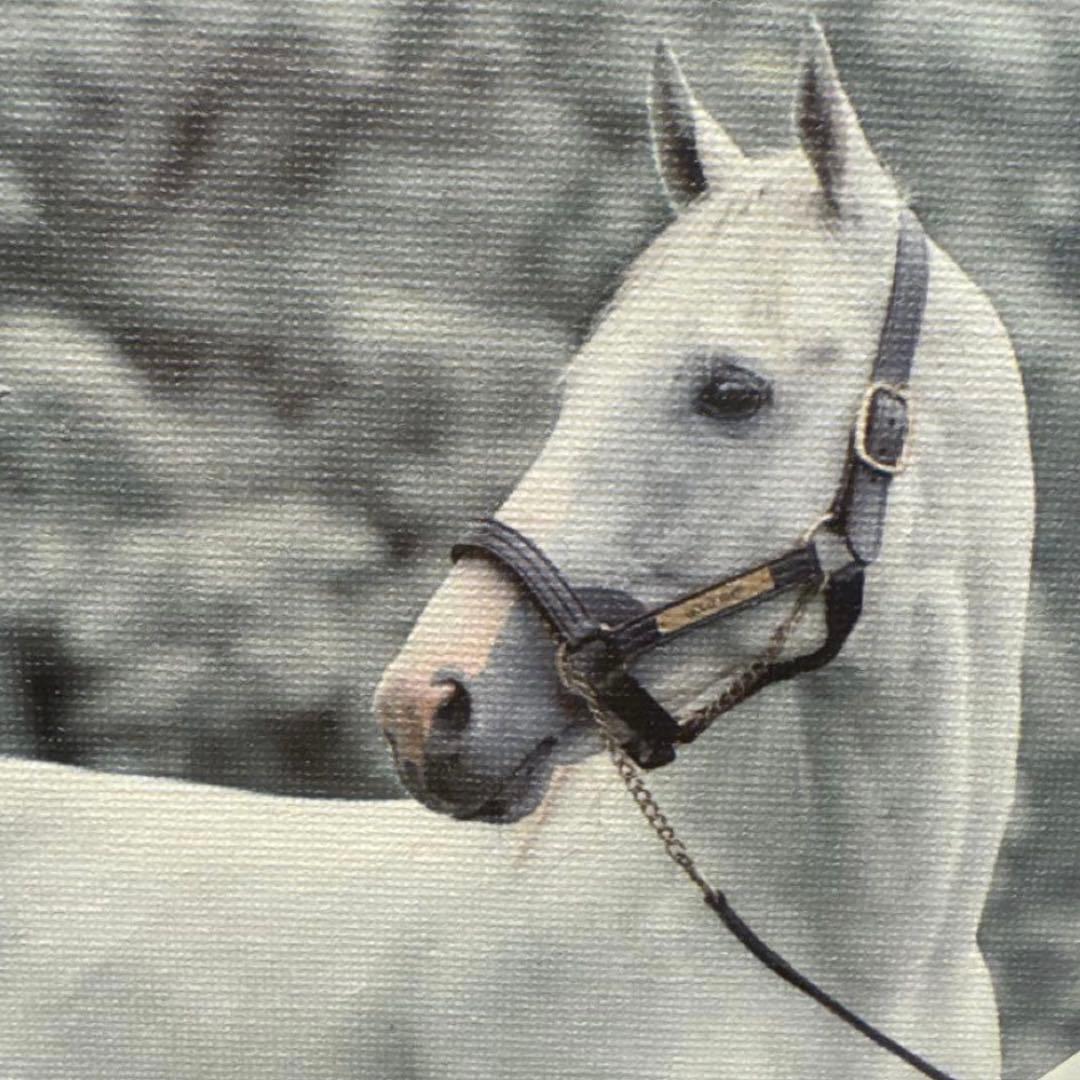 週末SALE♡限定完売品♡ゴールドシップ　名馬キャンバスボード　冬ver. 競馬