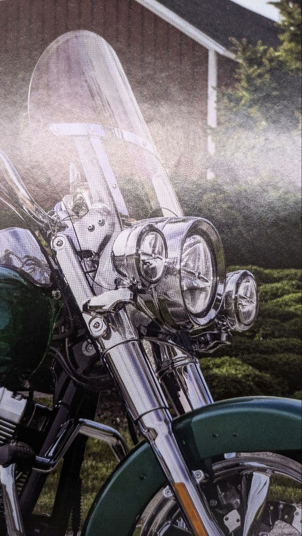 ハーレー純正　補助ライトキット　スイッチバック用　FLD　左右セット