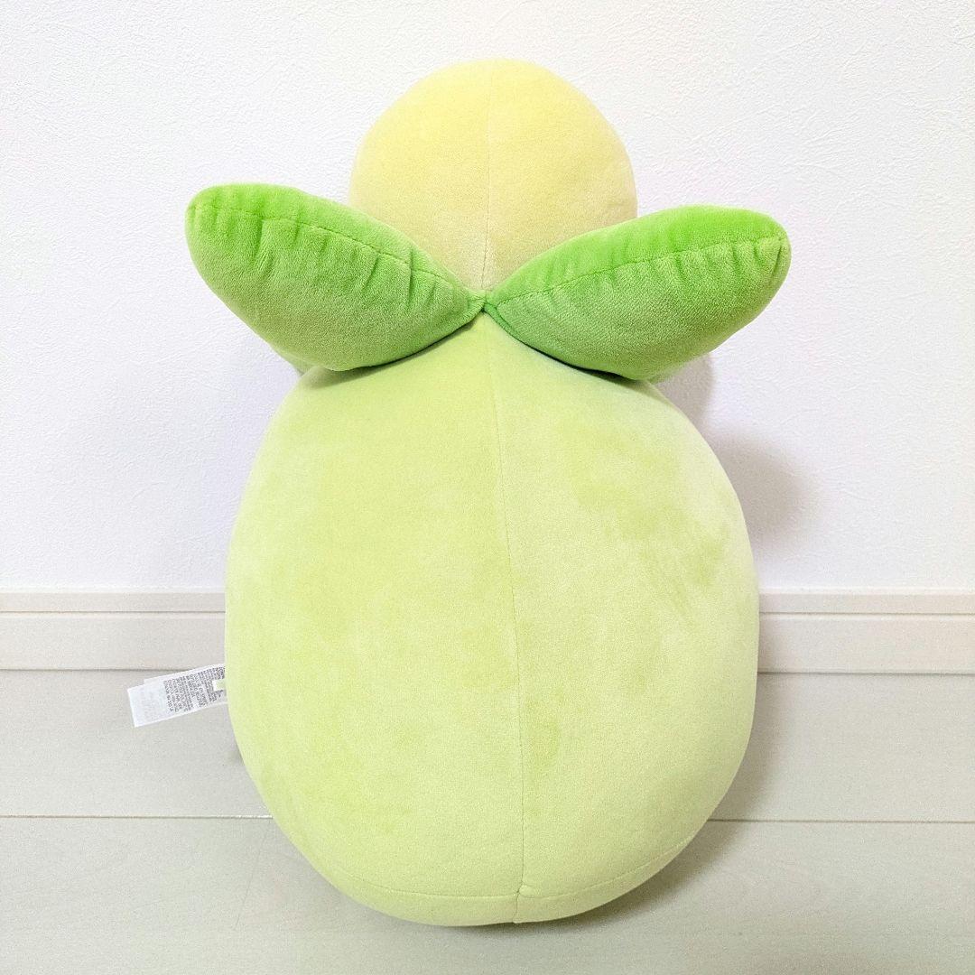 ミニーブ もっちりっち ぬいぐるみ ポケモン ポケモンセンター 2023年