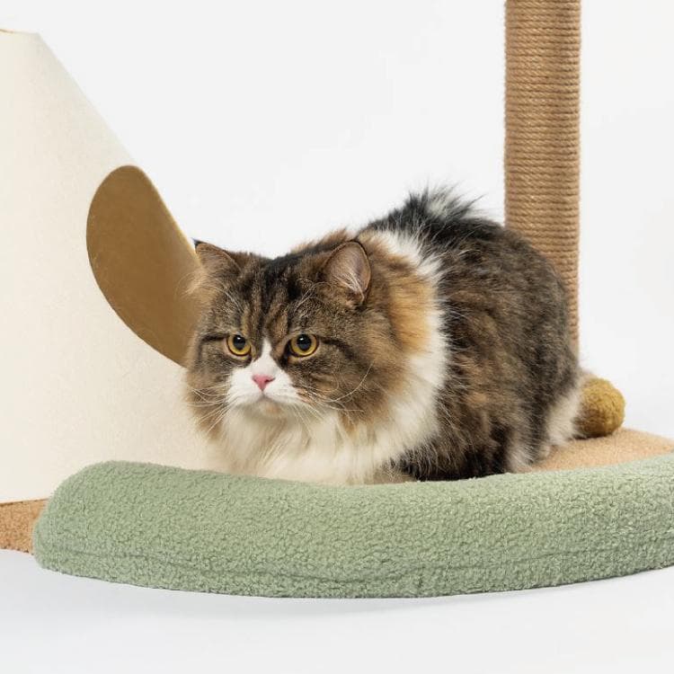 【新品】pidan ピダン とある島ベッド 猫用 爪とぎ インテリア クッション