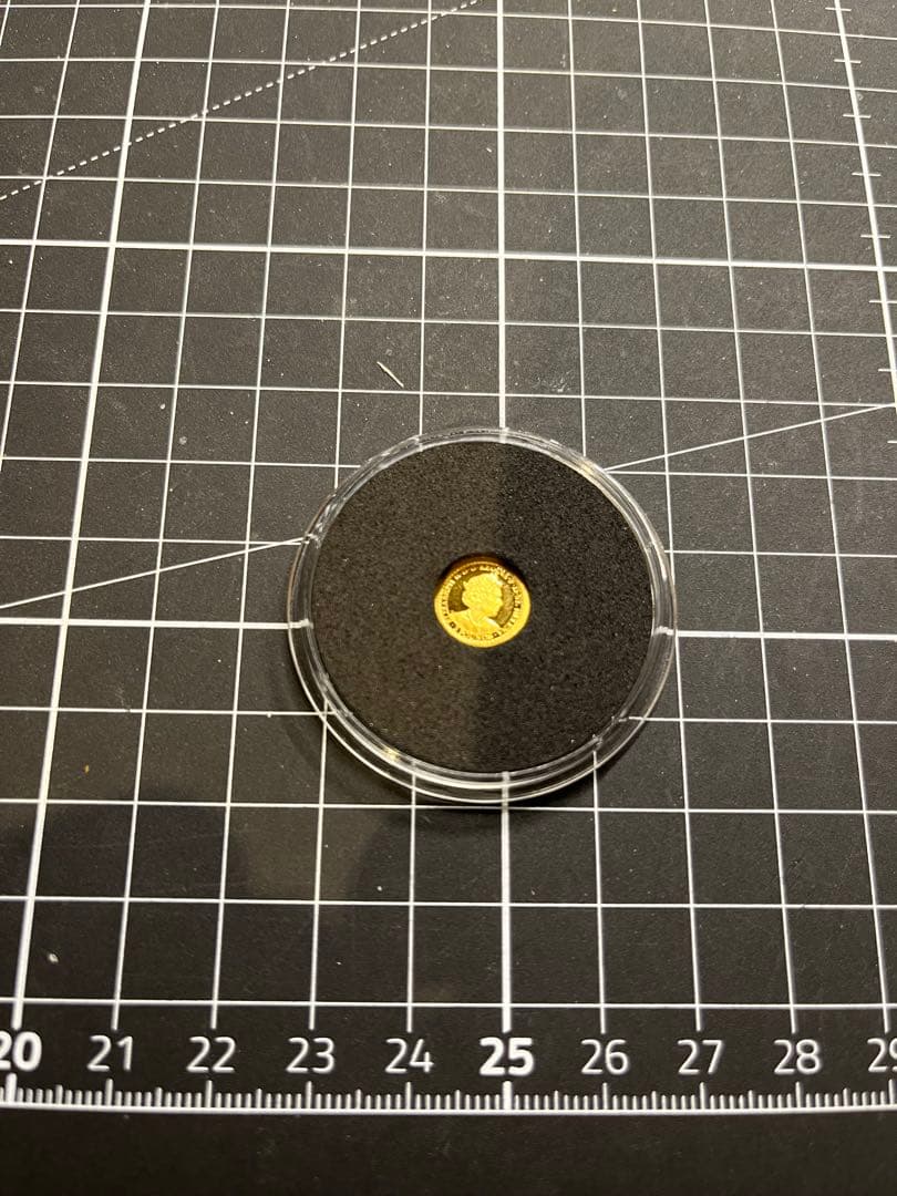 ム*ウ様 外国金貨　イギリス　ウナとライオン 2P金貨