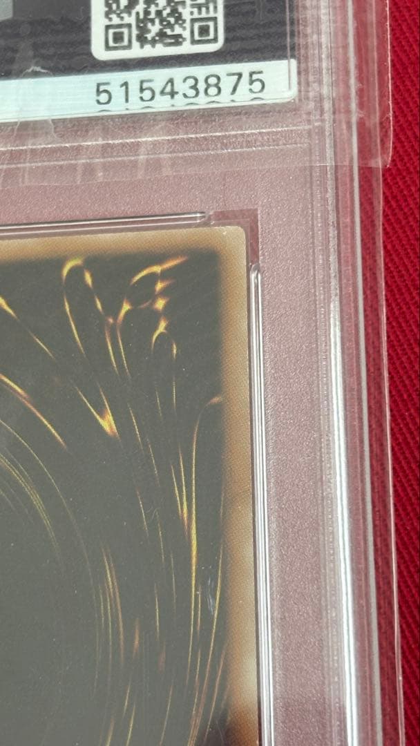 遊戯王 PSA10 ヴェルズウロボロス シークレット シク DT