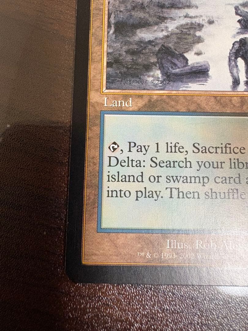 Polluted Delta 汚染された三角州