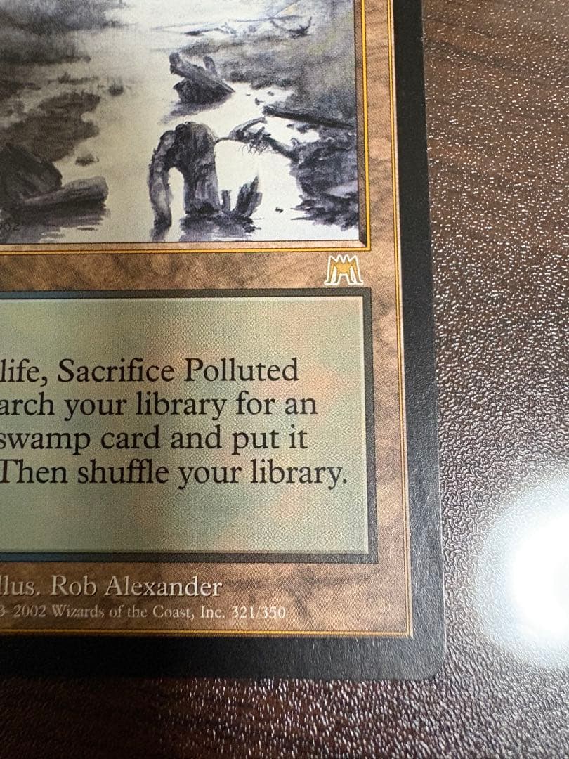 Polluted Delta 汚染された三角州