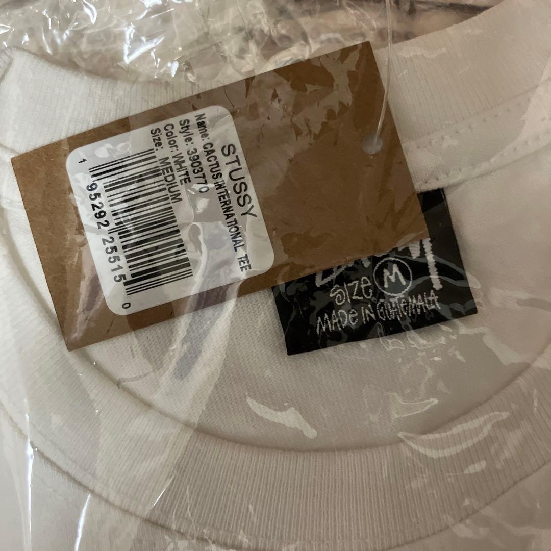 STUSSY cactus コラボTシャツ