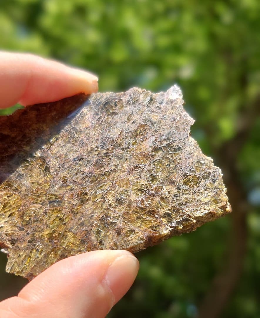 NWA 7831 隕石　ダイオジェナイト 41.1g　小惑星ベスタ ⭐