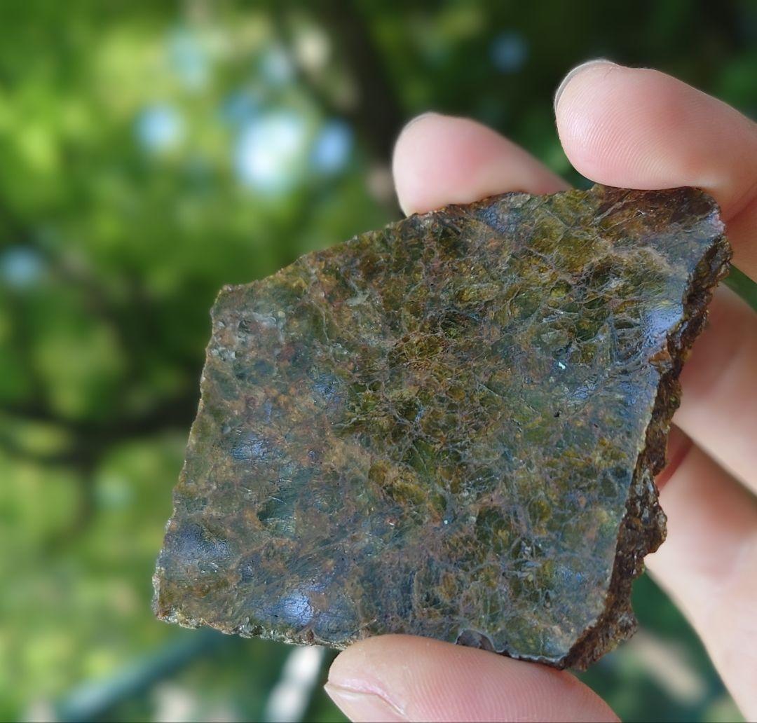 NWA 7831 隕石　ダイオジェナイト 41.1g　小惑星ベスタ ⭐