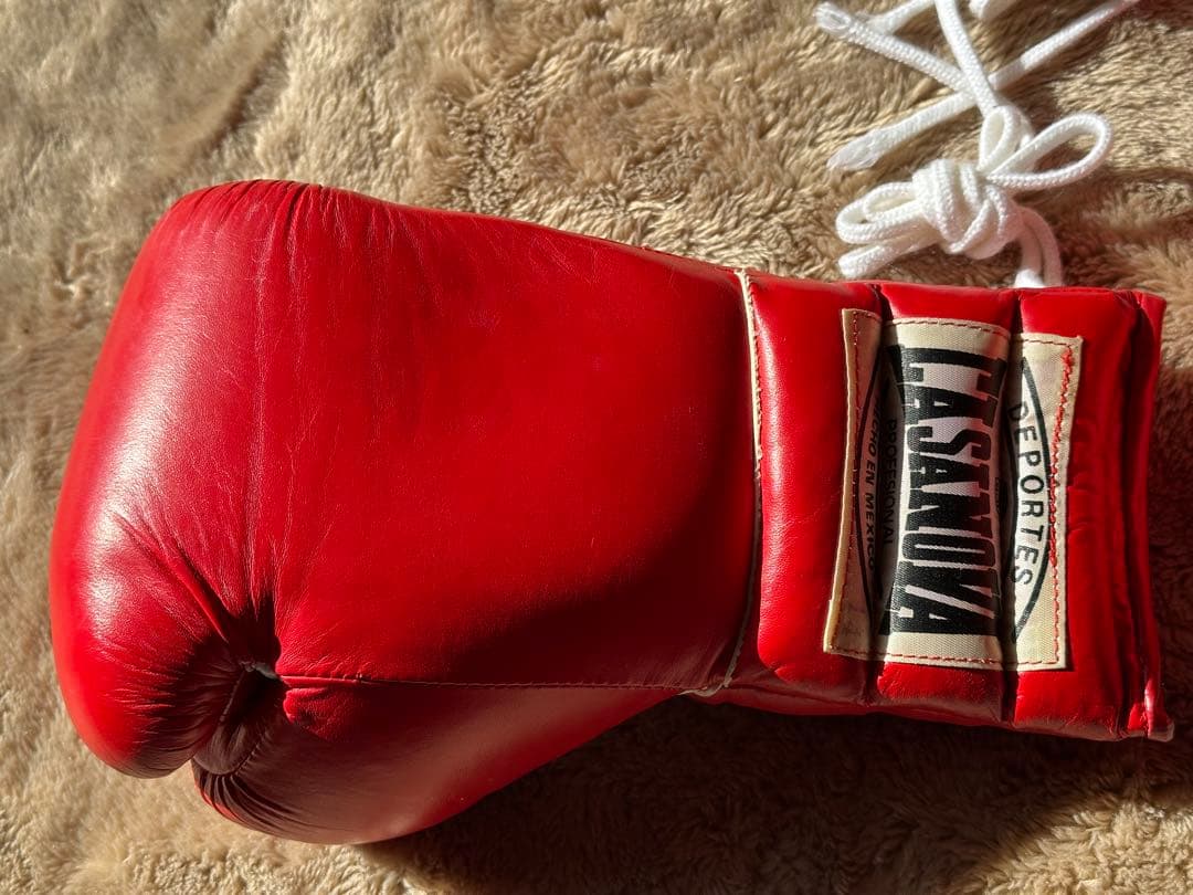 カサノヴァボクシンググローブ