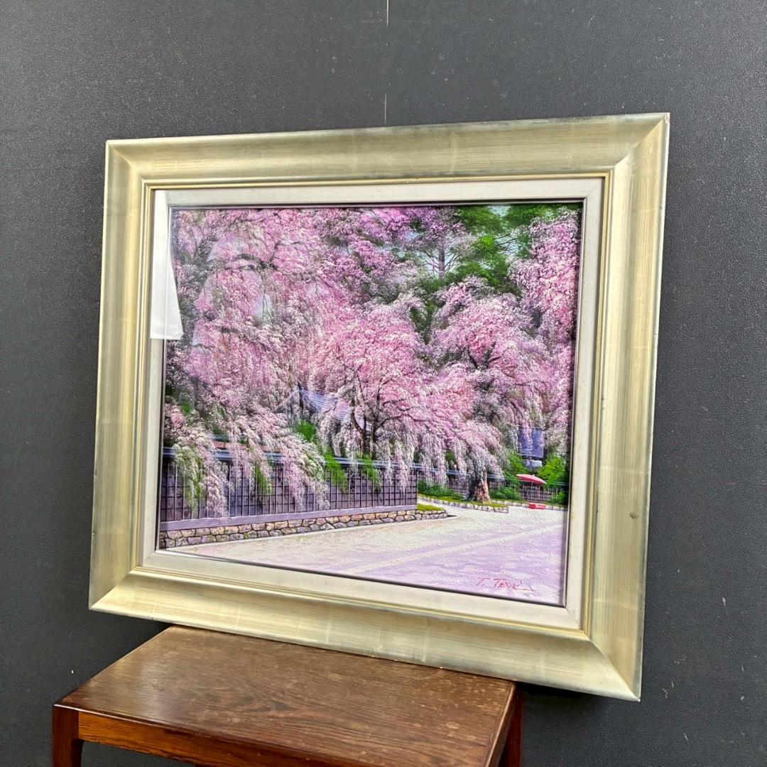美品 寺井孝「角館の桜」キャンバスに油彩 10号 彩波会 二科展 枝垂れ桜 名品