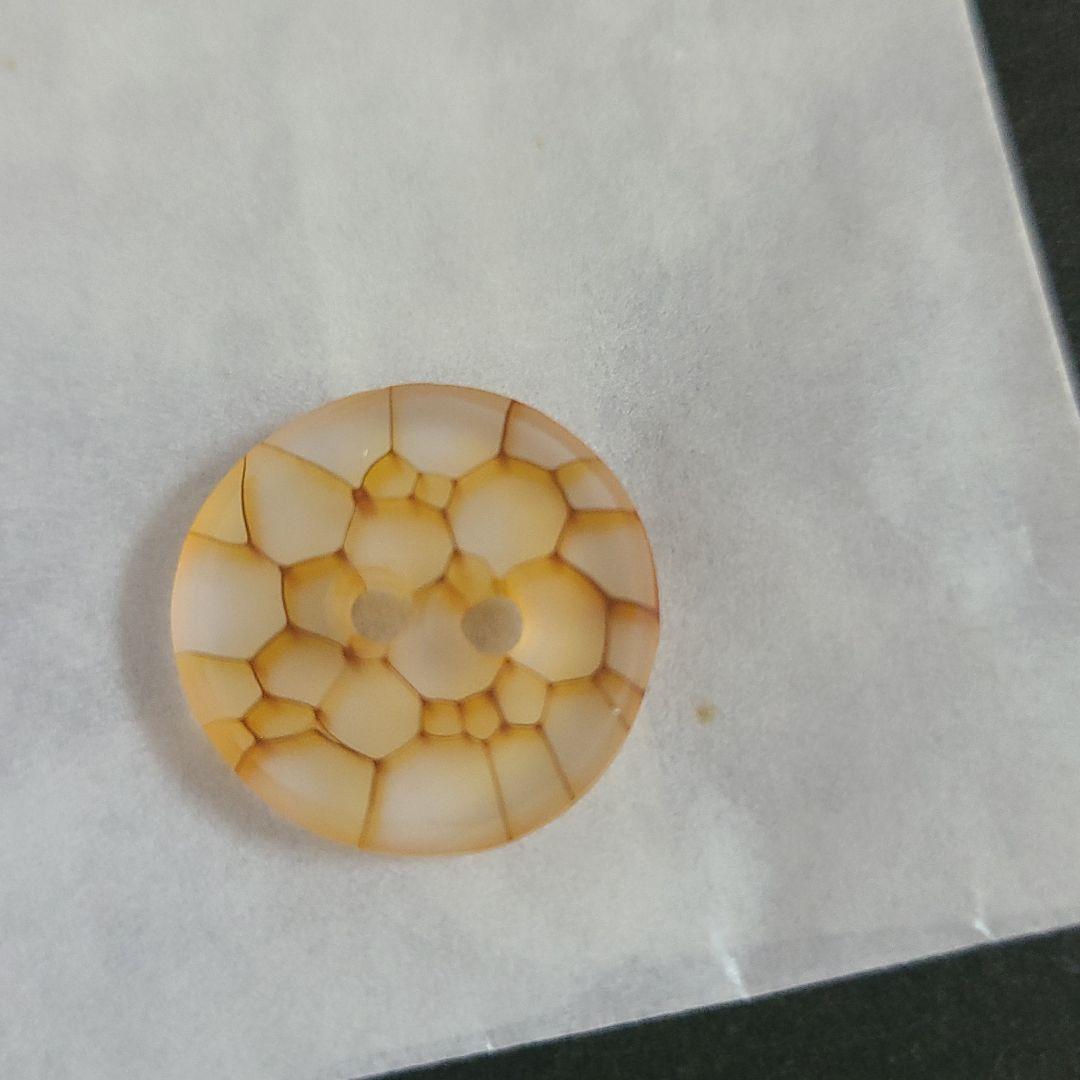 ガラス作家　時澤真美　タブレット　ボタン　ガラスボタン