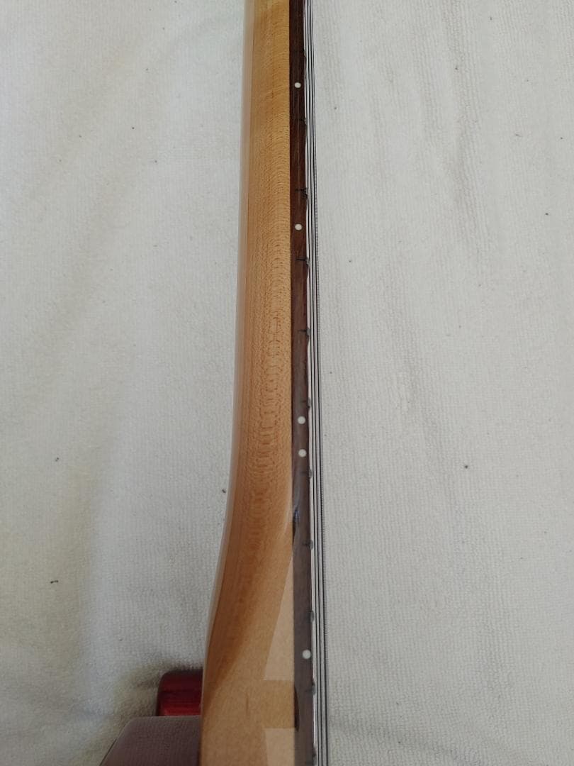 Bacchusテレキャスタータイプ　Universe series