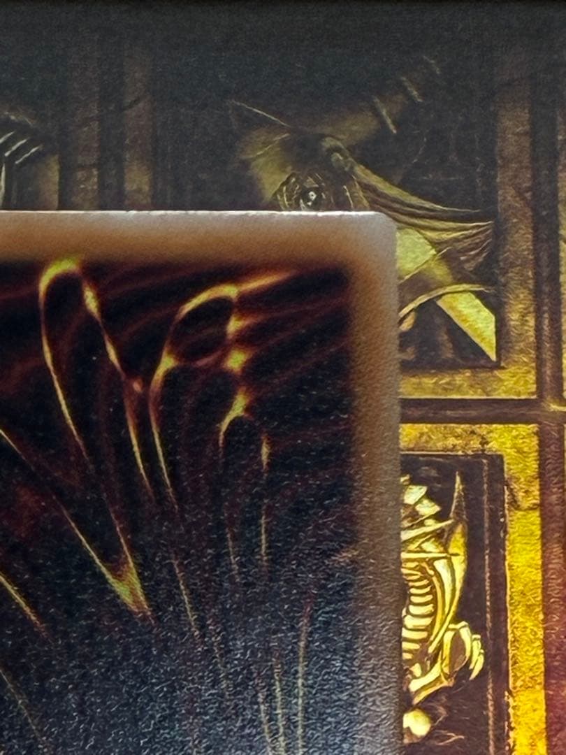 遊戯王 霊王の波動 25th2枚