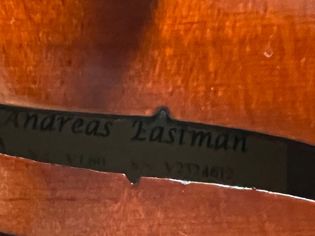 Eastman SVL80セット 4/4 バイオリン 初心者セット イーストマン