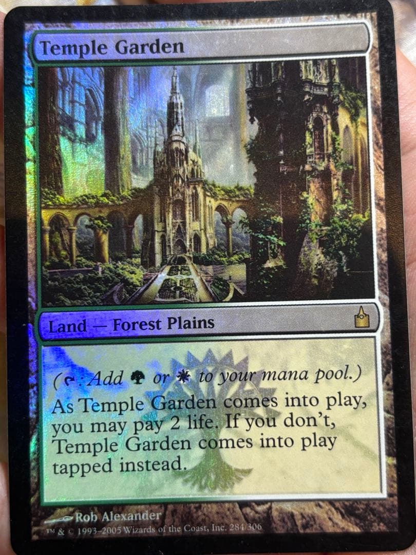 mtg RAV 寺院の庭　英語 初版 FOILラヴニカ