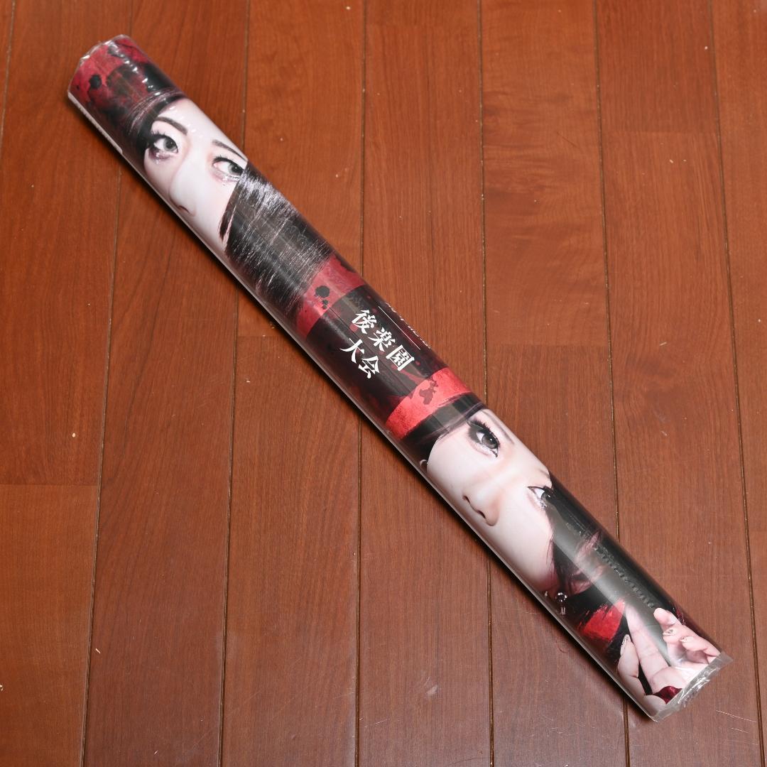 スターダム B2サイズ ポスター 上谷沙弥 鈴季すず STARDOM