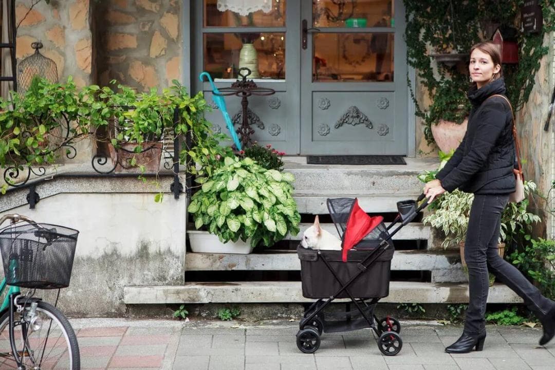 Ibiyaya　ペット用カート　ストローラー　FS1617-G　【平行輸入品】