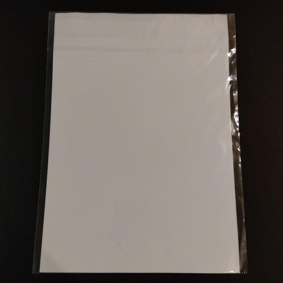 ワンピース アニメイト 特典 ピンナップ パズル型シール ステッカー 希少 レア