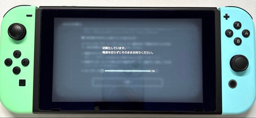 Y*i様 Nintendo Switch (どうぶつの森エディション) セット