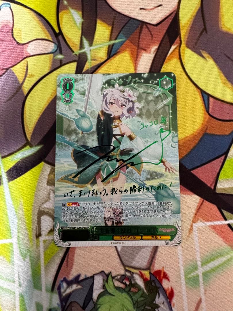 主を導く役目　コッコロ　サインa