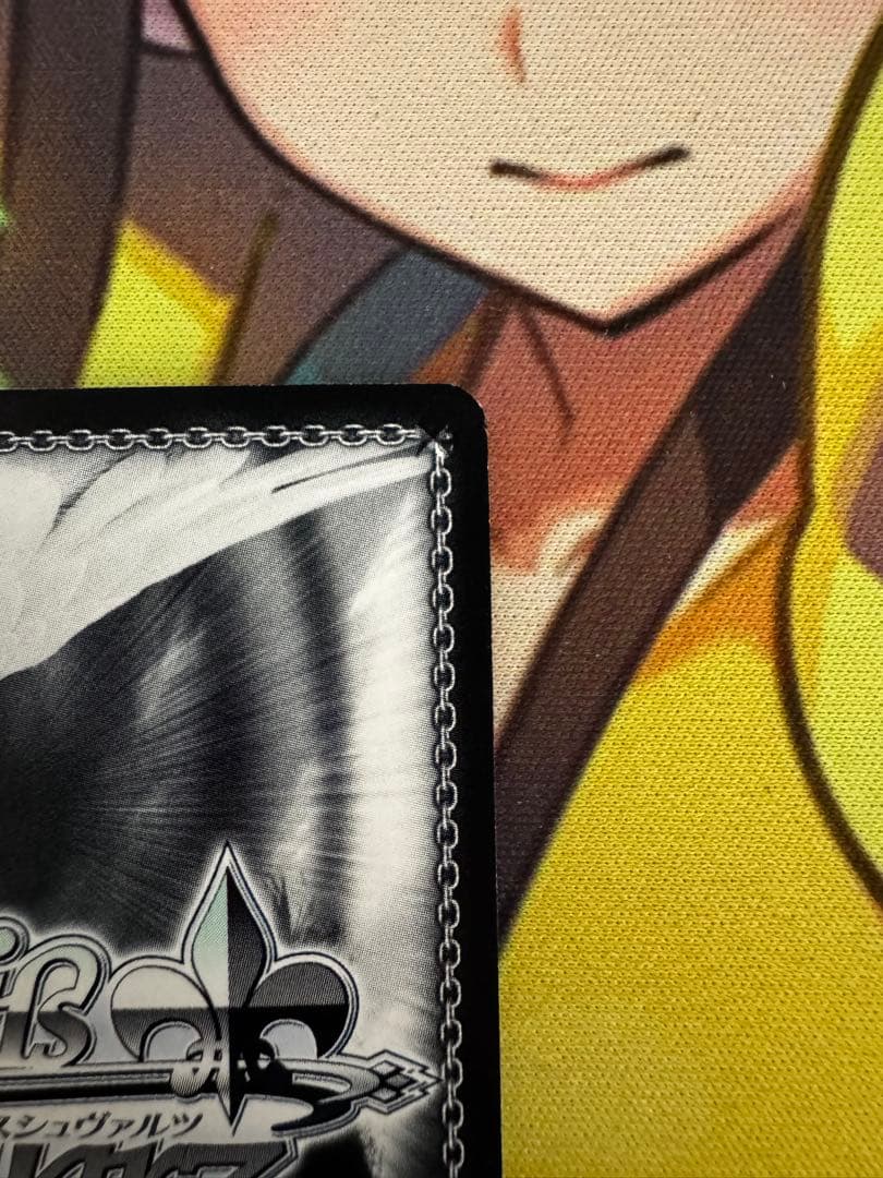 主を導く役目　コッコロ　サインa