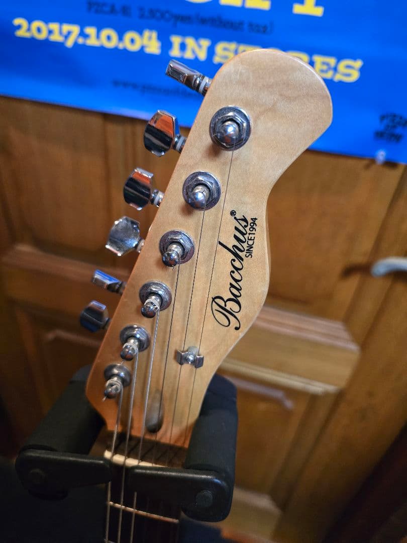 Bacchus テレキャスター YTM-500R