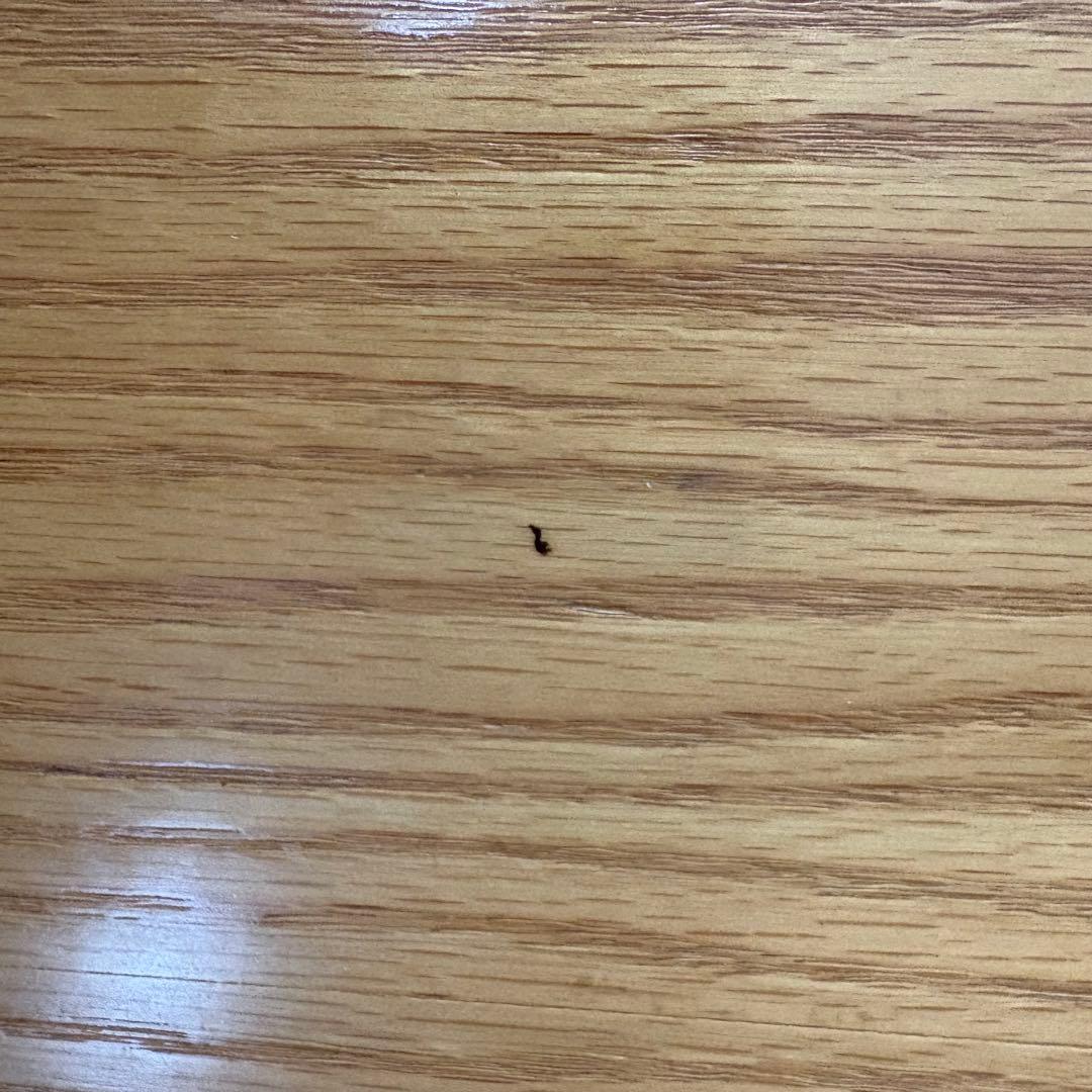 120x80 長方形 簡単セルフ組立て 匿名配送