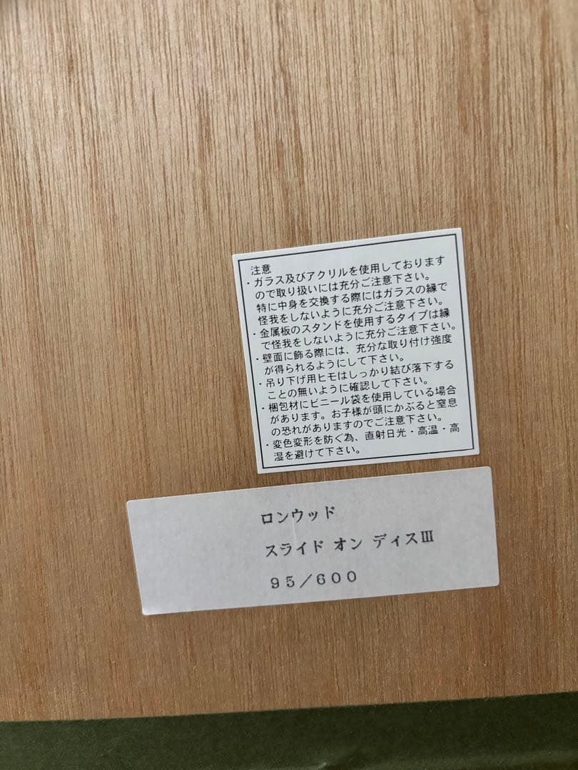 ロンウッド　スライドオンディスIII 95/600