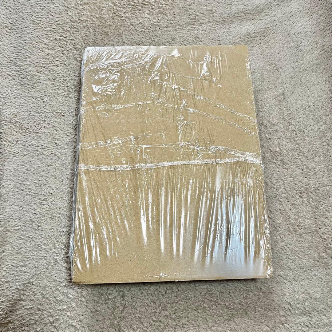 【新品未使用コード付】ベイブレードX ドランバスターメタルコートレッド 漫画1巻