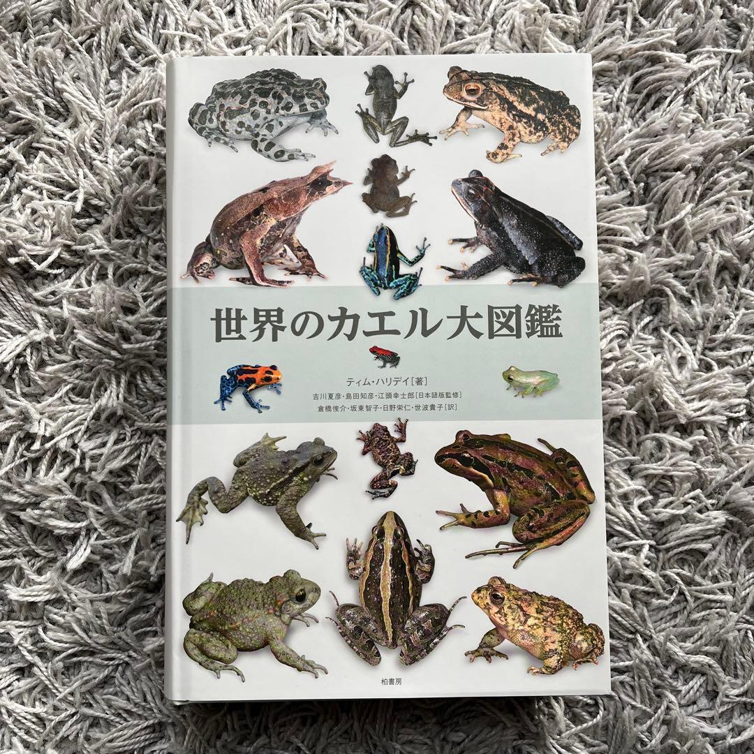 世界のカエル大図鑑