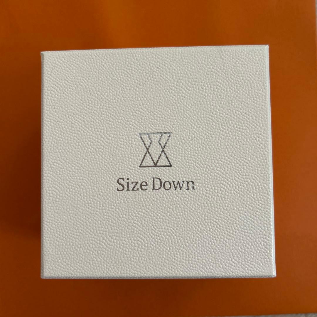 サイズダウンレボリューション