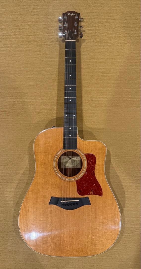Taylor 210ce テイラー アコースティックギター