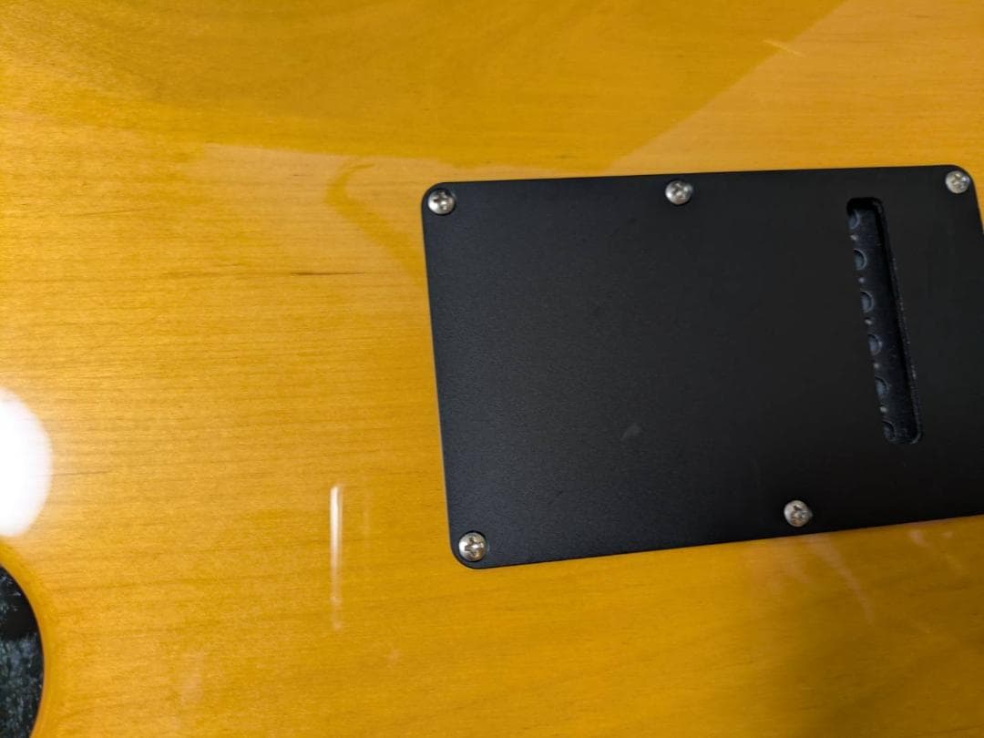 Fujigen Expert OS (EOS) ZW/R フジゲン エレキギター