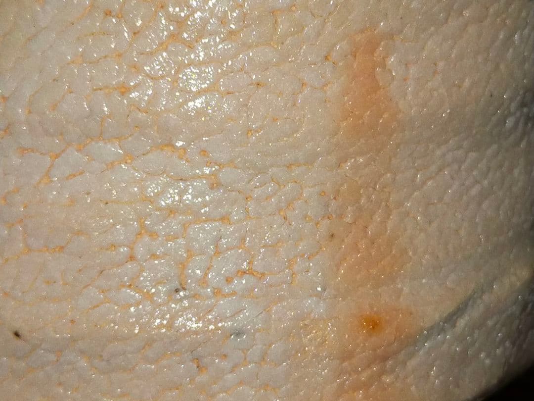 ♥美濃焼♥　志野　茶碗　④　在銘　茶道具　骨董　古玩