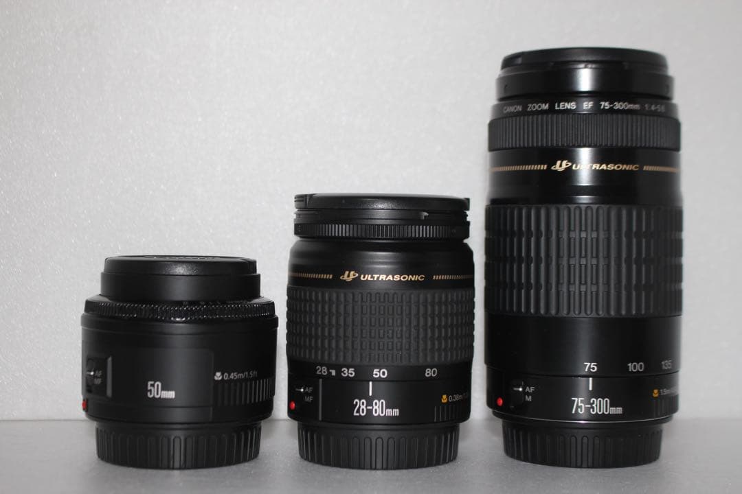 デジタル一眼レフカメラCanon EOS 80D/標準&望遠&単焦点レンズセット