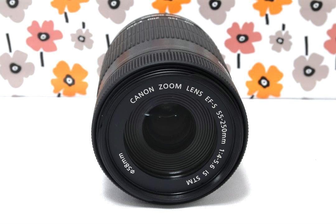 ❤Canon EF-S 55-250mm IS STM❤極美品❤大人気望遠レンズ